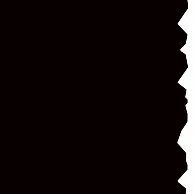 558-00311 LABEL STANDARD 2" X 250'/RL BLK