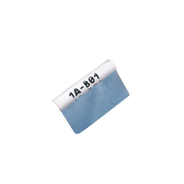 S100X150TAJ-A LASER/INKJET, SELF-LAM LABEL, TE