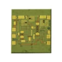 HMC442-SX IC RF AMP GPS 17.5GHZ-24GHZ DIE