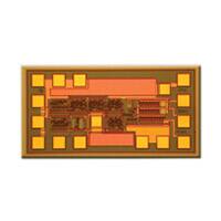 HMC365-SX IC FREQ DIVID DC-10GHZ DIE