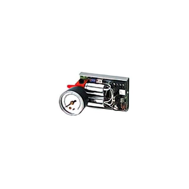 PXP100 Analog Input (0-5VDC), Pressure