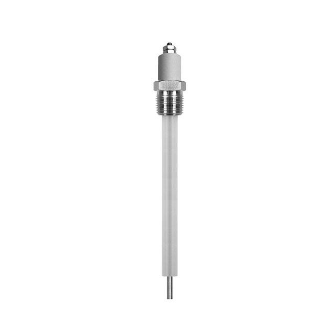 PHST38GTN-12" 3/8" SS NPT SINGLE LVL PROBE HLD