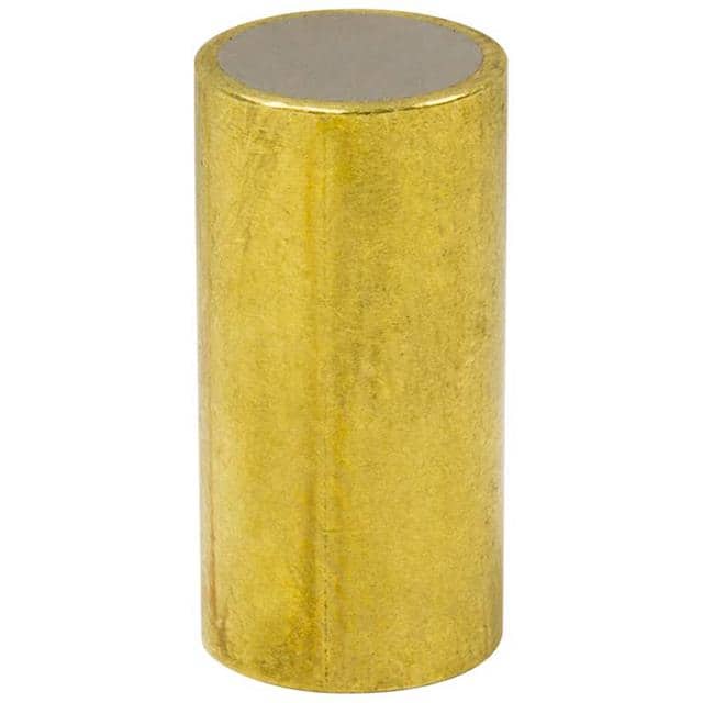 RBS2550 NEO SHIELDED MAG .25"ODX0.5"L, .