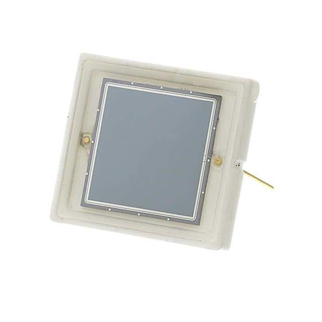 RD100A 10X10 MM FULLY DEPLETED, HIGH EN