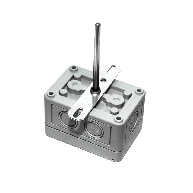 A/TTM1K-D-12"-4-4X Transmitter w/ 1,000 Ohm RTD (NI