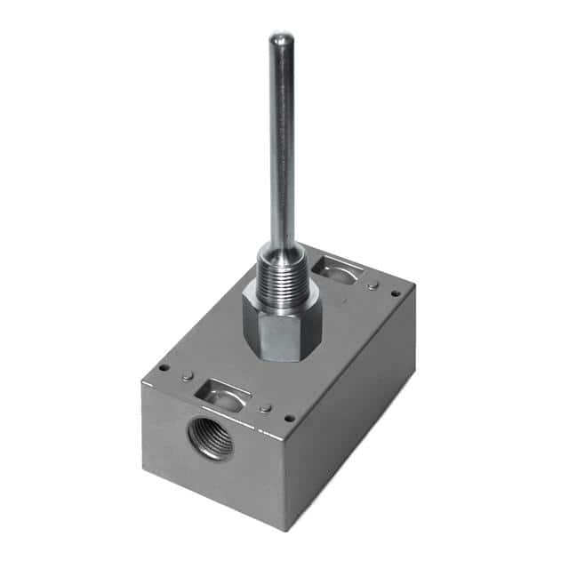 A/100-2W-I-4"-BB 100 Ohm (Two Wires) RTD, Immersi