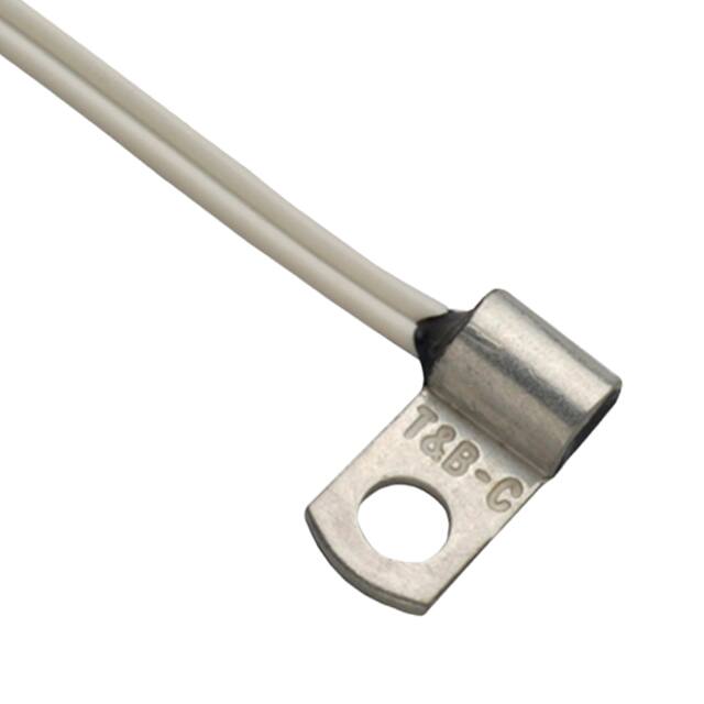 USP5510 THERMISTOR NTC 10KOHM 3892K FLAG