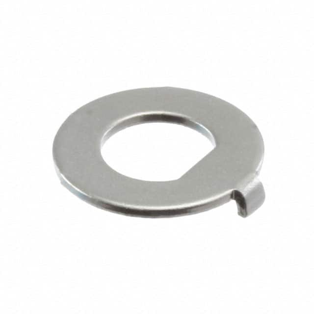 T100002 LOCK RING FOR 100 & 100A SERIES