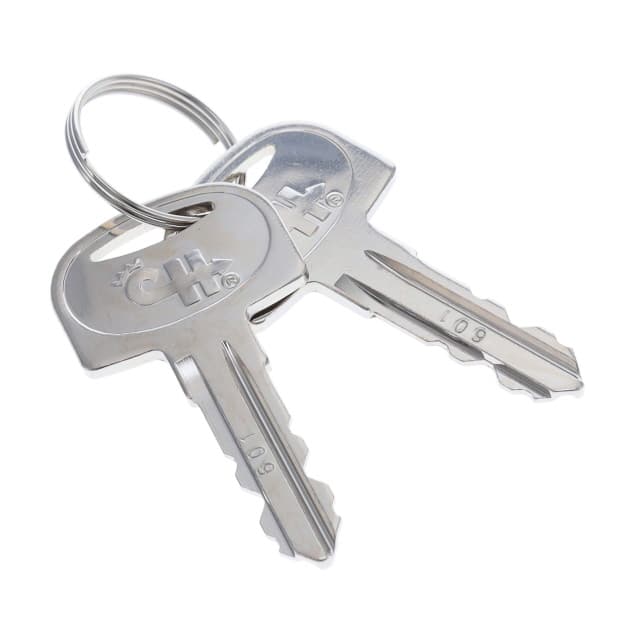 83451-601 KEYS RINGED