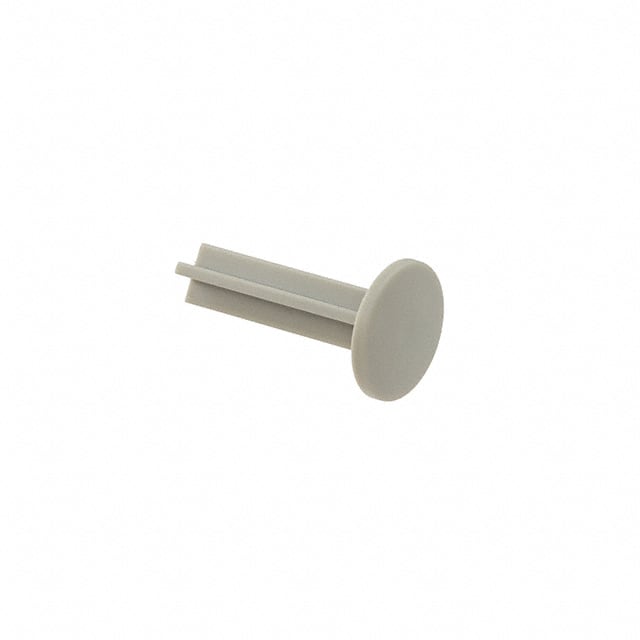 5.46.011.028/0710 RF15N PLUNGER D 10.0 TH 22.50 MM