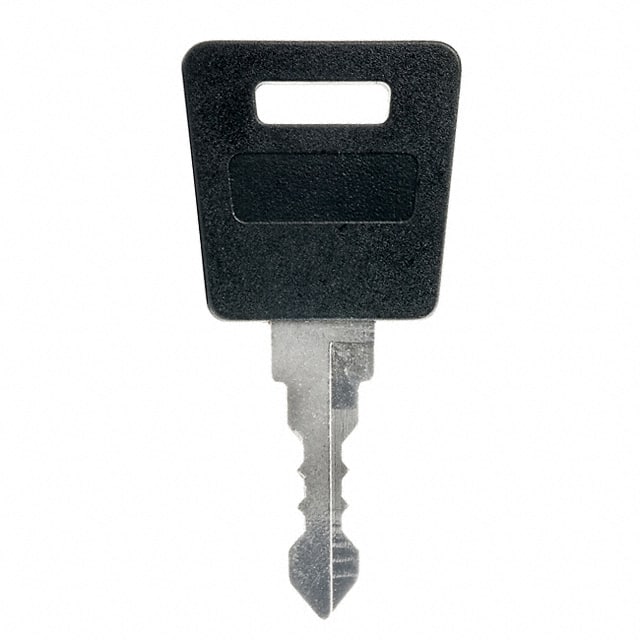 AT4147-005 REPLACEMENT KEY FOR CKM SERIES