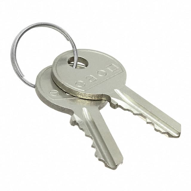 45-522.0900 SPARE KEY (2X) RONIS T254