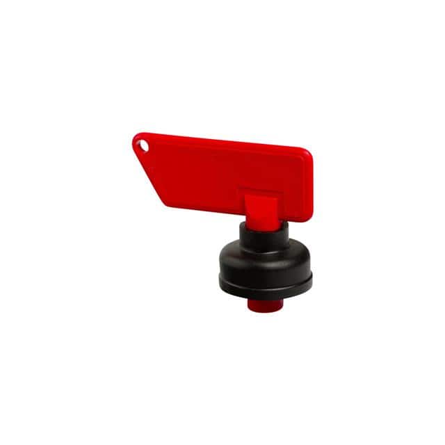 08099900 KEY WITH GASKET