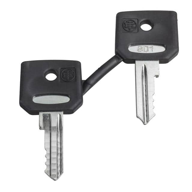 ZBG520E SET OF 2 KEYS 520E