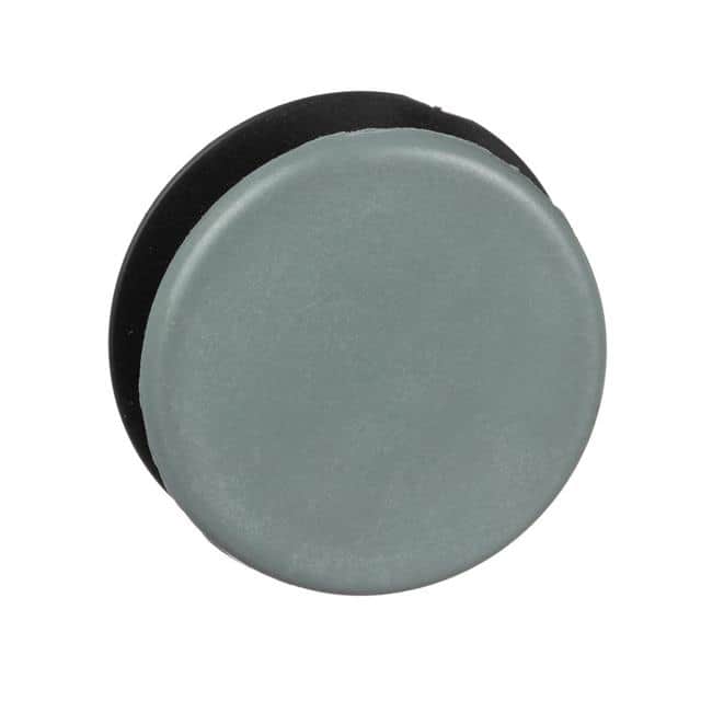 9001K51 30MM PUSH BUTTON, TYPE K, GREY C