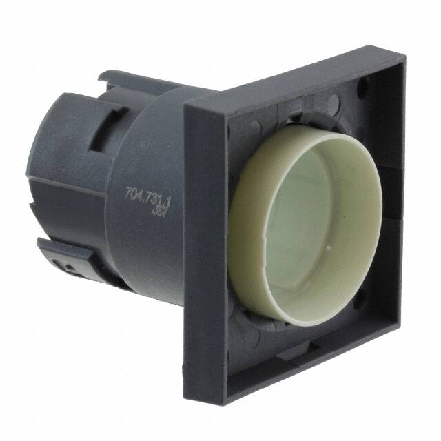 704.731.1 ILLUMINATED PUSHBUTTON-ACTUATOR