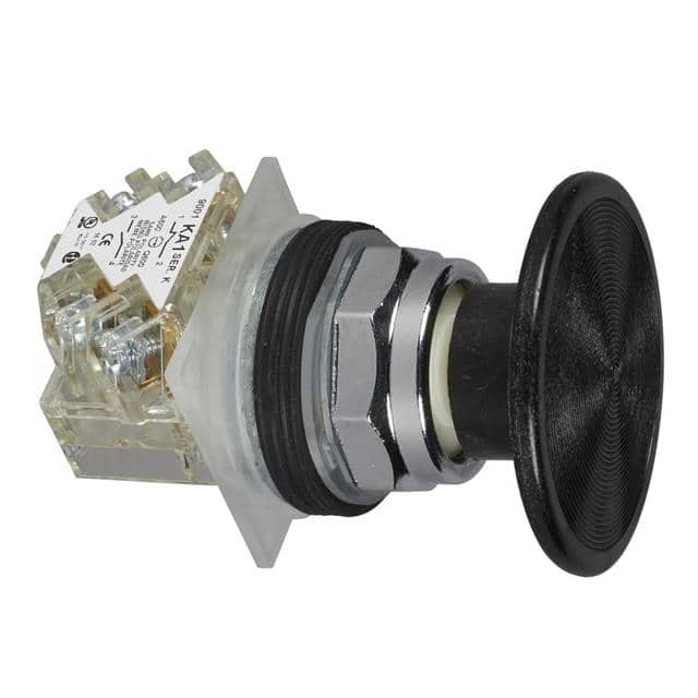 9001KR25BH13 PUSH BUTTON 600VAC 10A 30MM T-K
