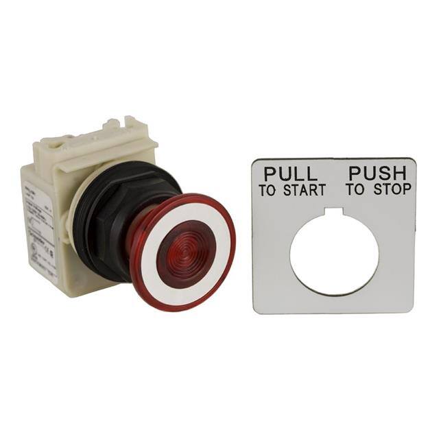 9001SKR9P38LRRH13 30MM PUSH BUTTON, TYPE SK, RED I