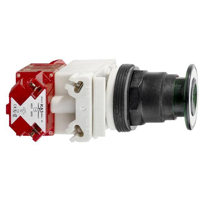 9001SKR8P35LGGH25 PUSHBUTTON 28V 30MM SK +OPTIONS