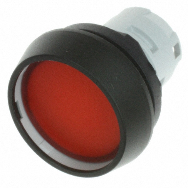 1.30.070.021/1306 CONFIG SW BODY PUSHBUTTON ILLUM