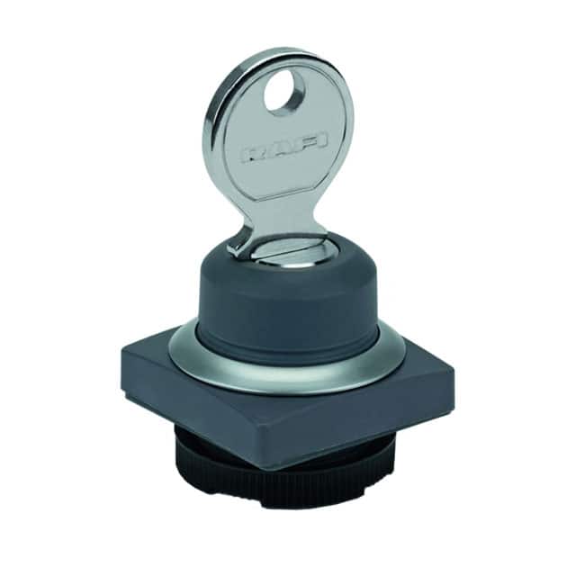 1.30.275.551/0100 CONFIG SW BODY KEYLOCK NON-ILLUM