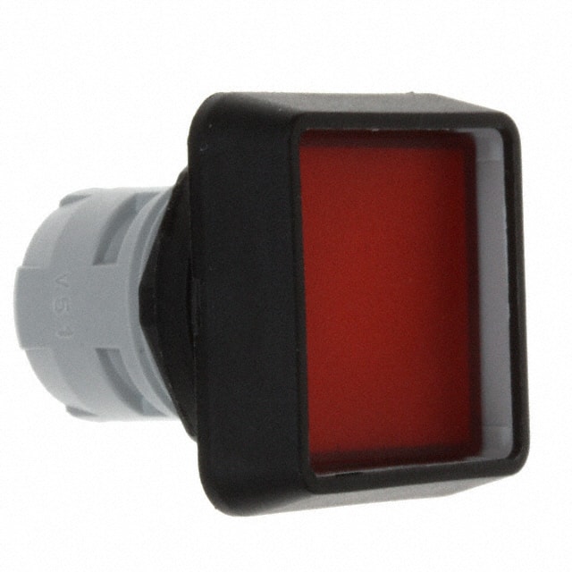 1.30.070.001/1306 CONFIG SW BODY PUSHBUTTON ILLUM