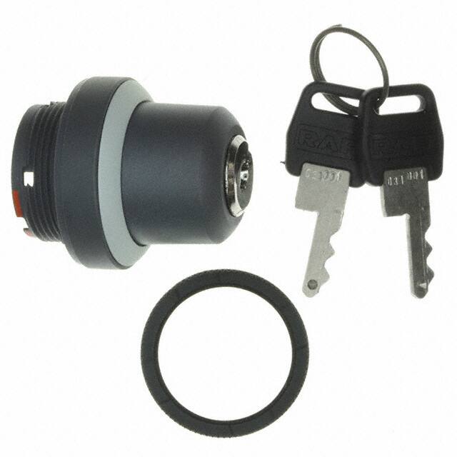 1.30.255.001/0800 CONFIG SW BODY KEYLOCK NON-ILLUM