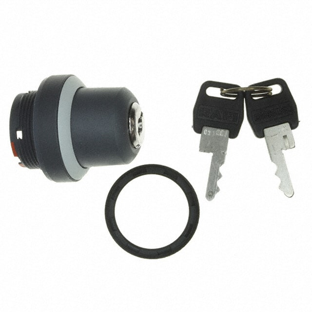 1.30.255.201/0800 CONFIG SW BODY KEYLOCK NON-ILLUM