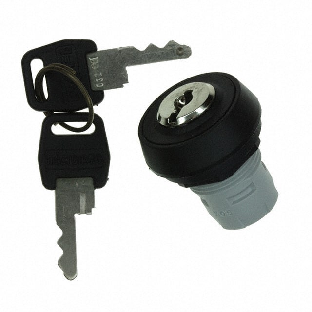 1.30.076.421/0000 CONFIG SW BODY KEYLOCK NON-ILLUM
