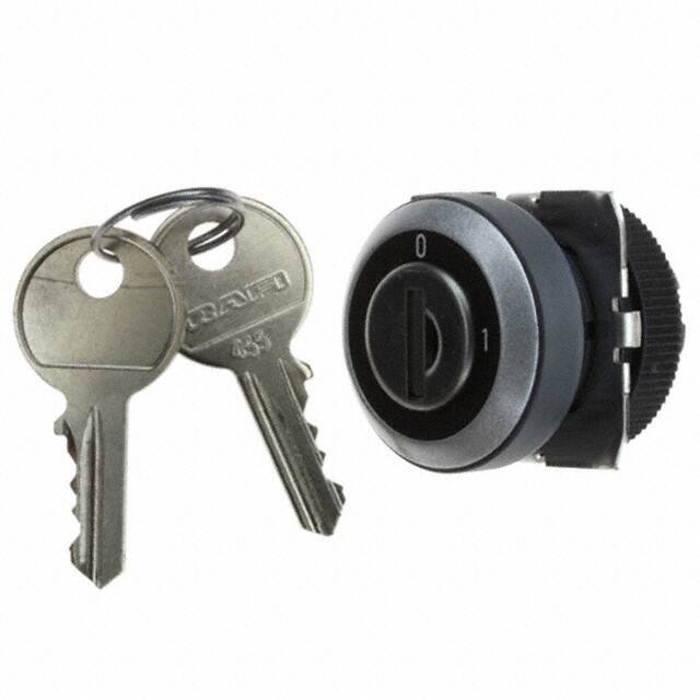 1.30.245.222/0000 CONFIG SW BODY KEYLOCK NON-ILLUM