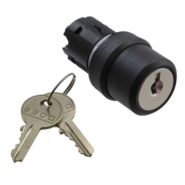 45-2922.1000.113 CONFIG SW BODY KEYLOCK NON-ILLUM