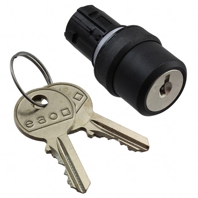45-2925.1000.111 CONFIG SW BODY KEYLOCK NON-ILLUM