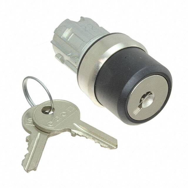 45-290K.2000.116 CONFIG SW BODY KEYLOCK NON-ILLUM