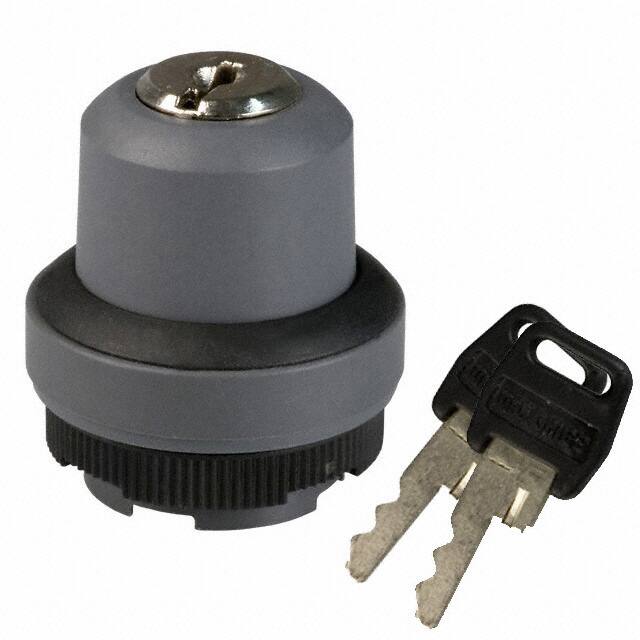1.30255.4010100 CONFIG SW BODY KEYLOCK NON-ILLUM