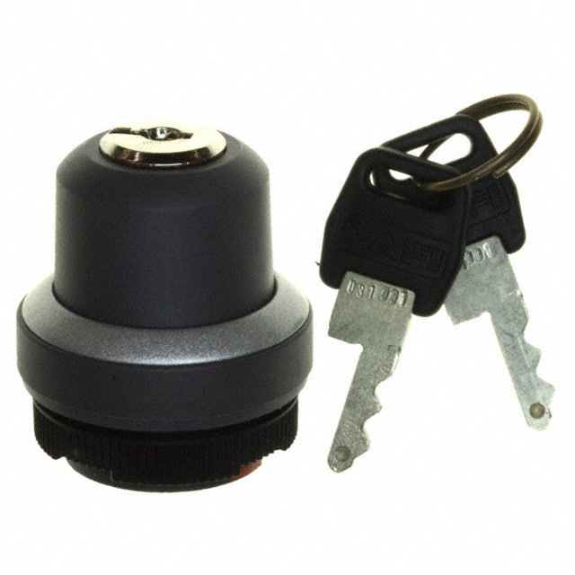 1.30255.0020000 CONFIG SW BODY KEYLOCK NON-ILLUM