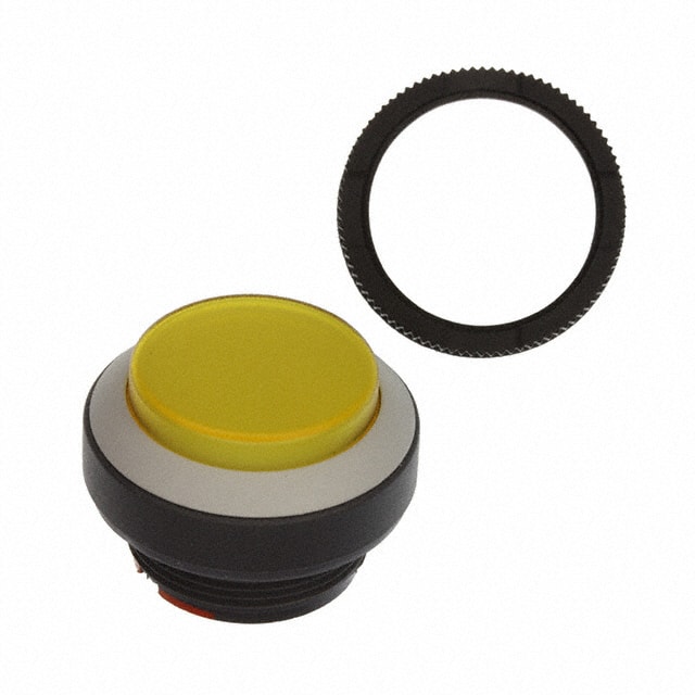 1.30250.2011408 CONFIG SW BODY PUSHBUTTON ILLUM