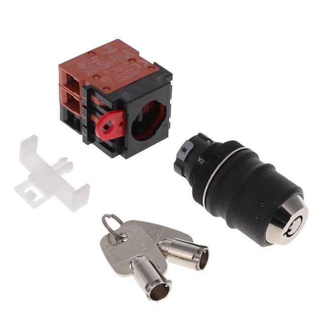 A22TK-2LR-12-K09 SWITCH KEYLCK 2POS DPST 10A 110V