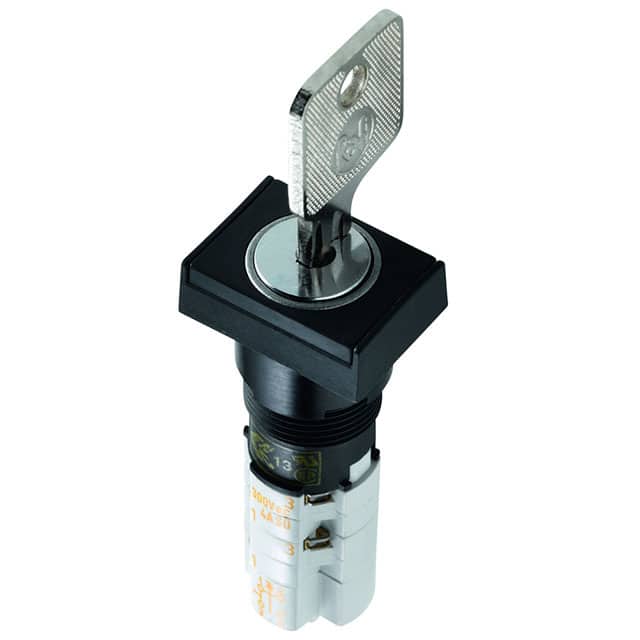 1.15.108.631/0100 SWITCH KEYLOCK 2POS DPST 4A 250V