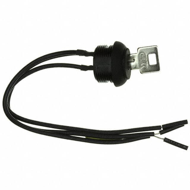 P1011U3WMWCNQE2 SWITCH KEYLOCK 2POS SPDT 4A 125V