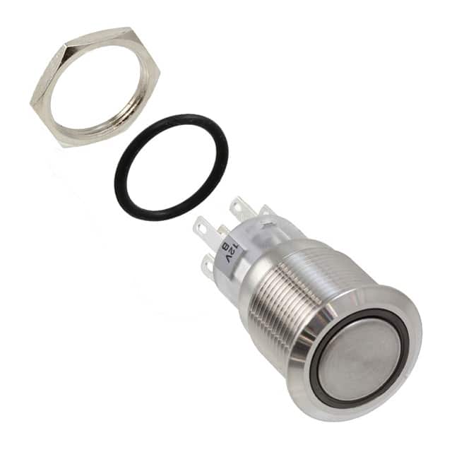 PV4F2G0SS-344 SWITCH PUSHBUTTON DPDT 2A 24V