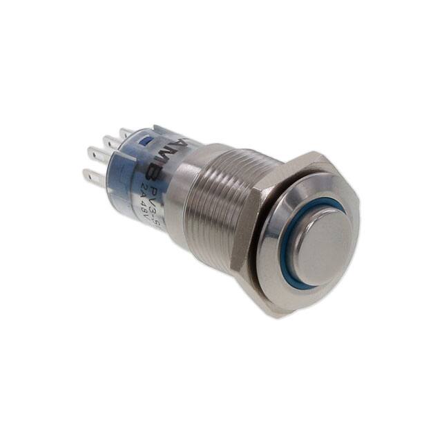 PV3WH2B0SS-343 SWITCH PUSHBUTTON SPDT 2A 48V
