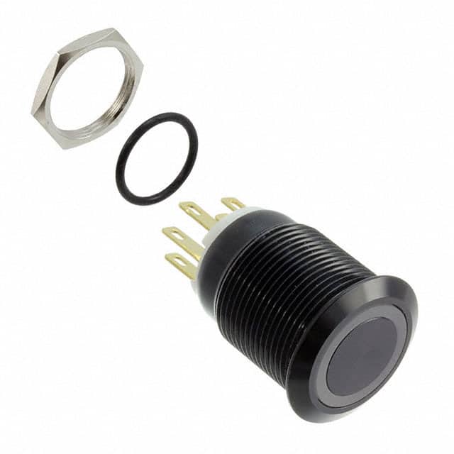 PV4F2Y011-301 SWITCH PUSHBUTTON DPST 2A 24V