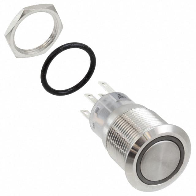 PV4F2G0SS-314 SWITCH PUSHBUTTON DPDT 2A 24V