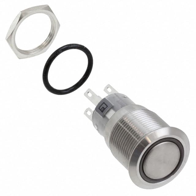 PV4F2G0SS-331 SWITCH PUSHBUTTON DPDT 2A 24V