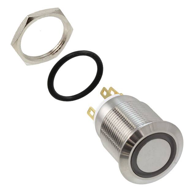 PV4F2Y0SS-304 SWITCH PUSHBUTTON DPST 2A 24V