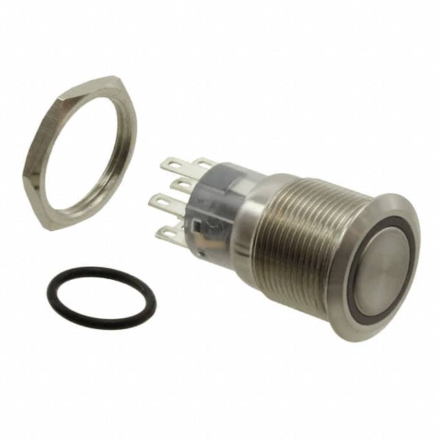PV4F2G0SS-311 SWITCH PUSHBUTTON DPDT 2A 24V