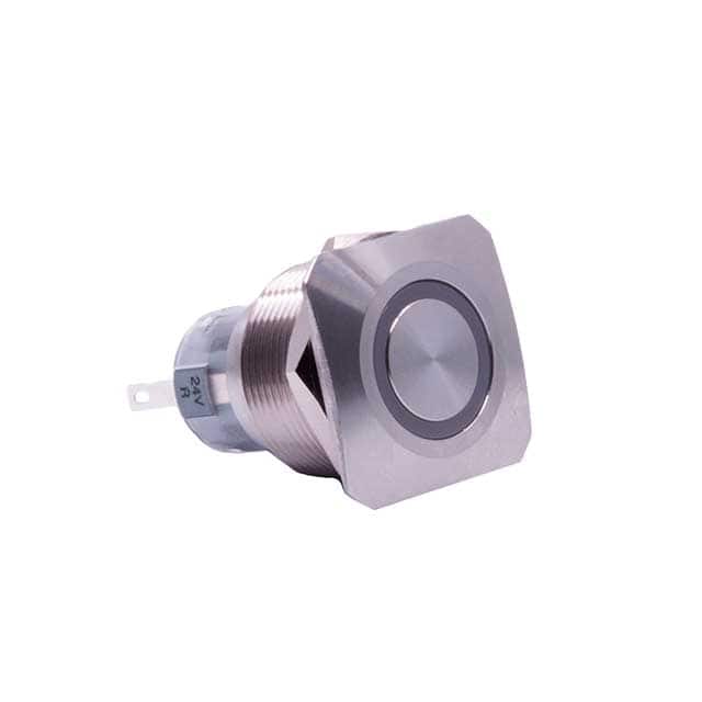 PVS7F2GSS341 SWITCH PB DPDT 2A 24V