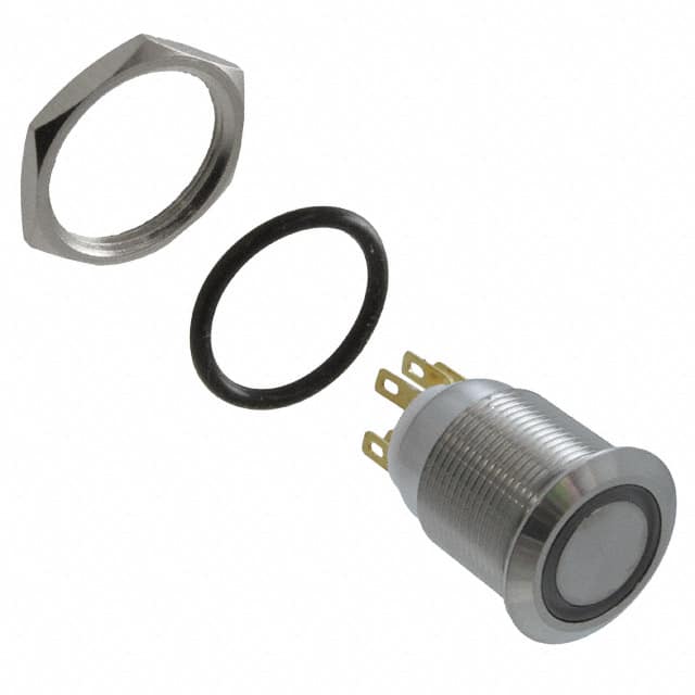 PV4F2Y0SS-315 SWITCH PUSHBUTTON DPST 2A 24V