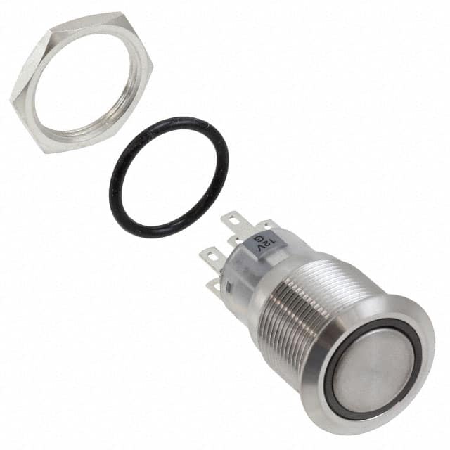 PV4F2G0SS-334 SWITCH PUSHBUTTON DPDT 2A 24V