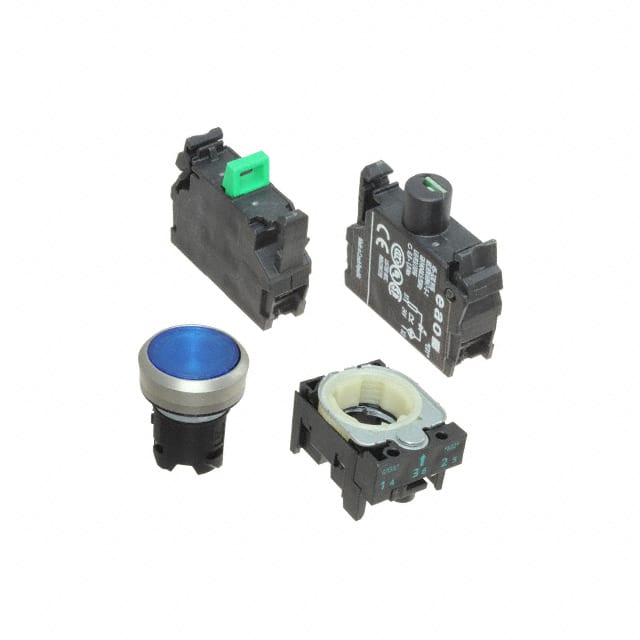 45-1231.11J6.000.101 SWITCH PUSH SPST-NO 10A 500V